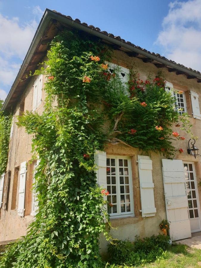 Le Carge D'Arlay Bed and Breakfast Charnay-lès-Mâcon Exteriör bild